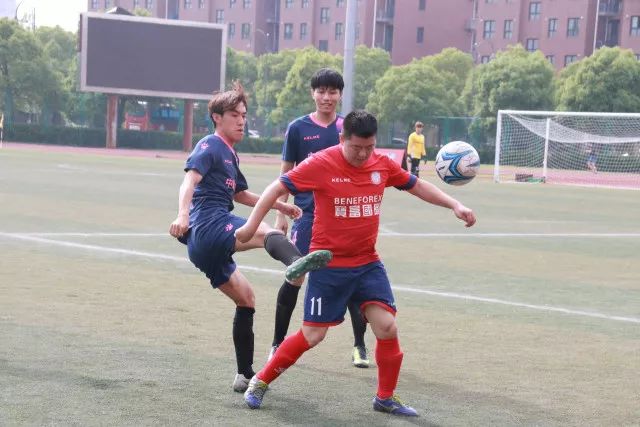 津门虎三叉戟火力全开，哈达斯本赛季成绩显著